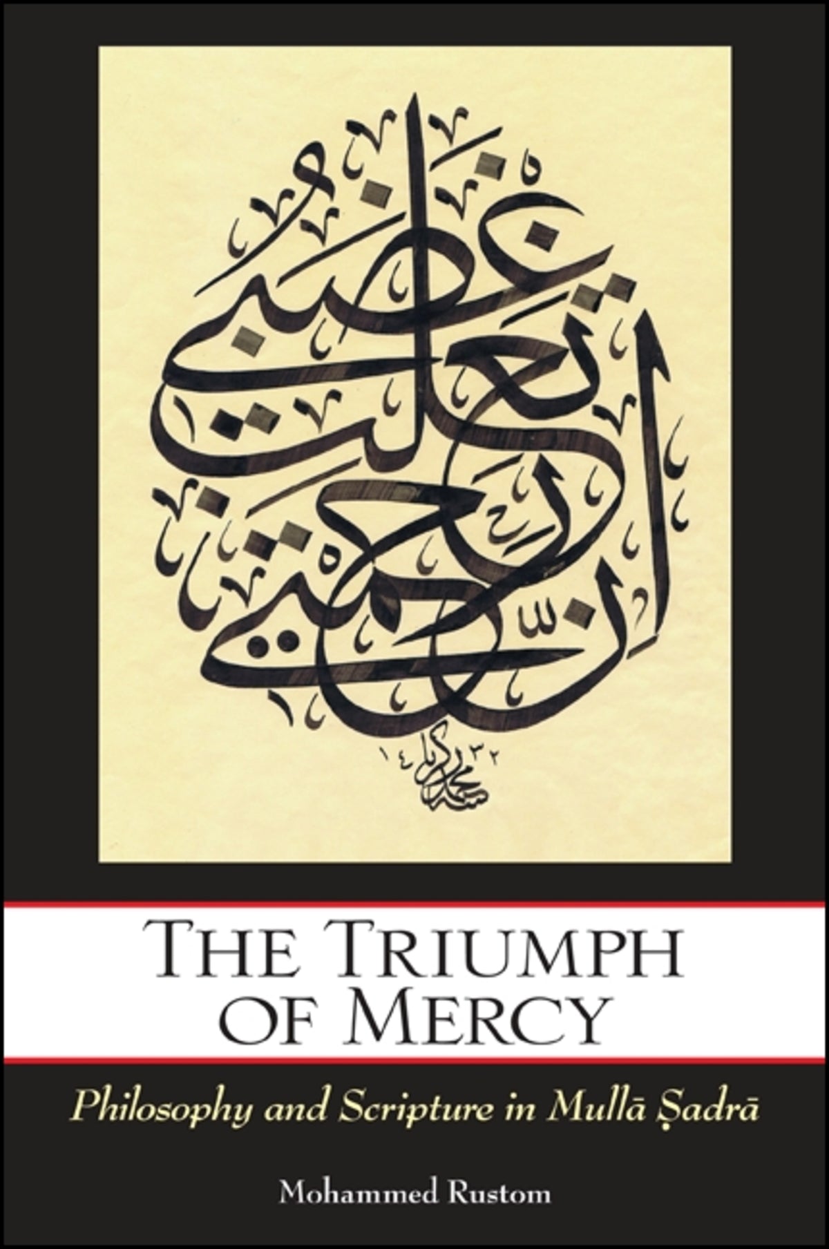 Cover image for The Triumph of Mercy ISBN 9781438443416