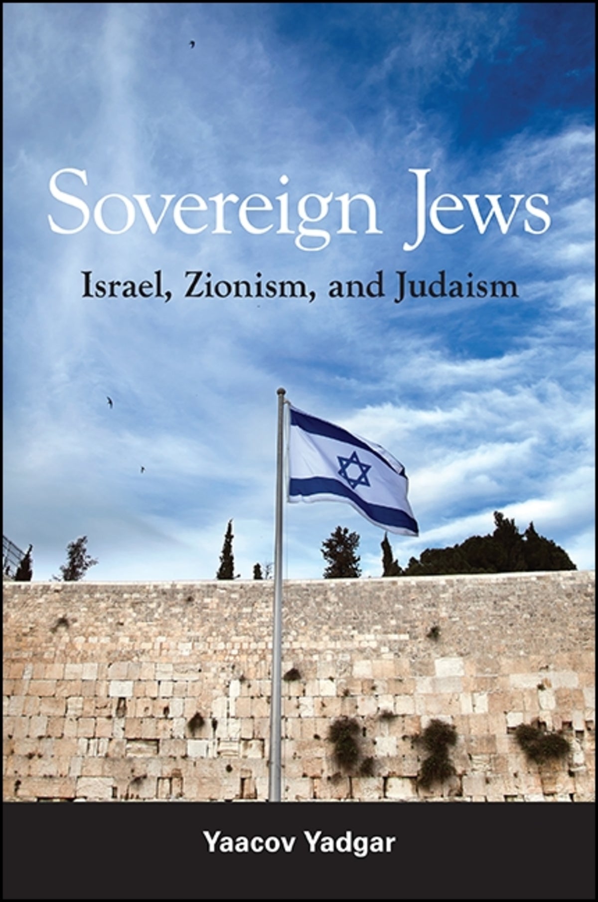 Cover image for Sovereign Jews ISBN 9781438465333