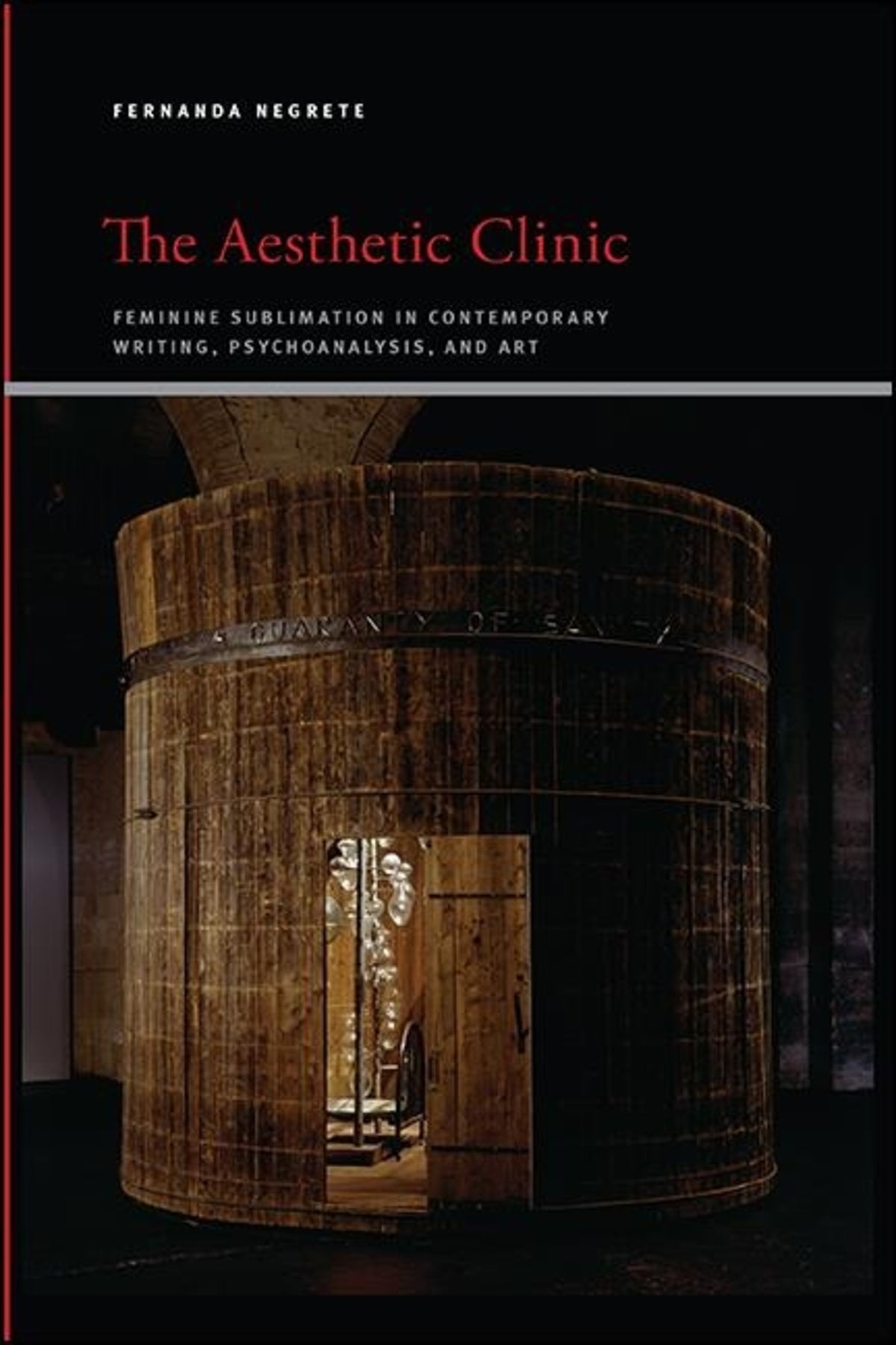 Cover image for The Aesthetic Clinic ISBN 9781438480206