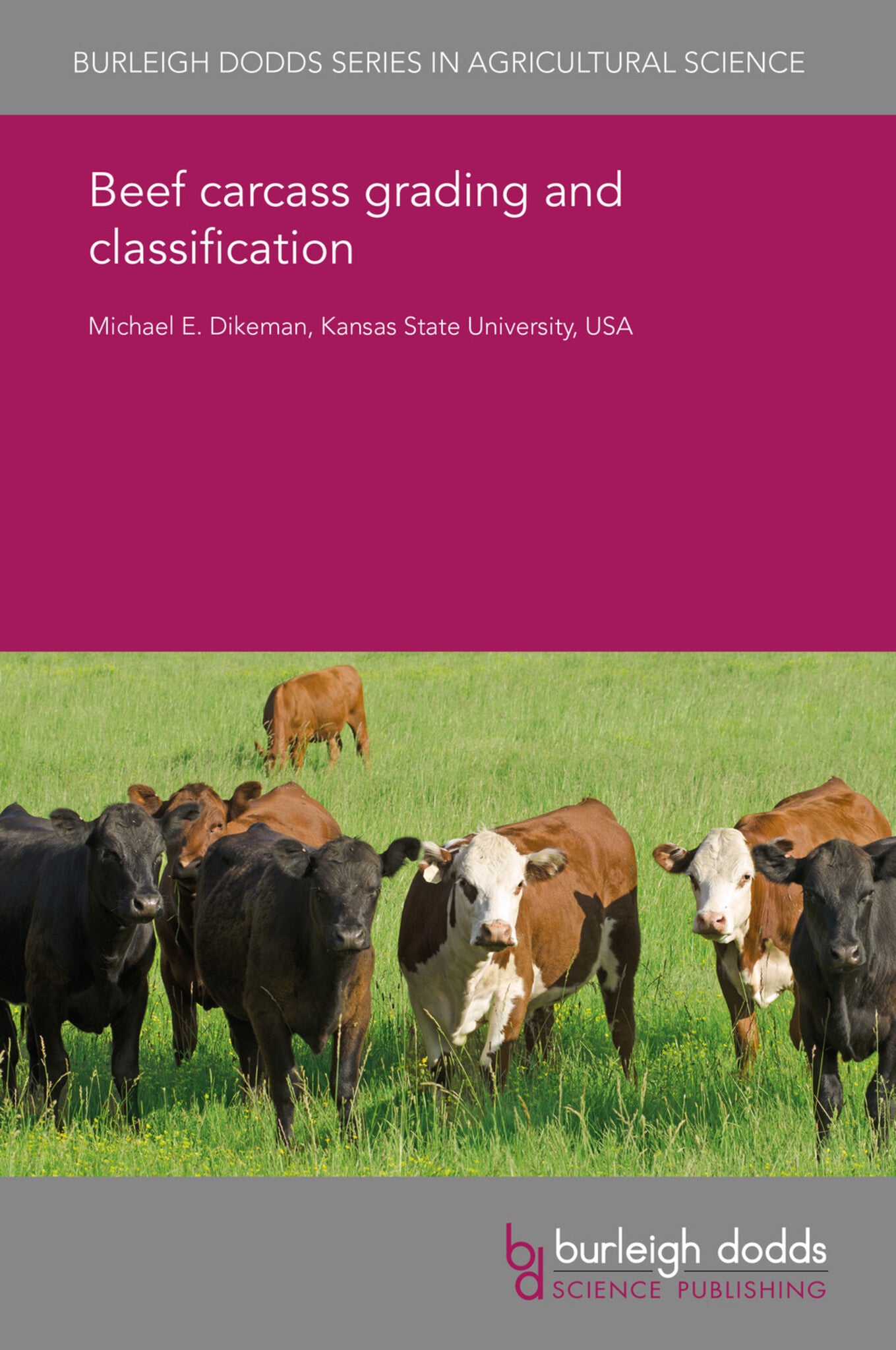 Beef carcass grading and classification