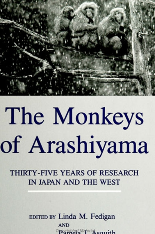 The Monkeys of Arashiyama