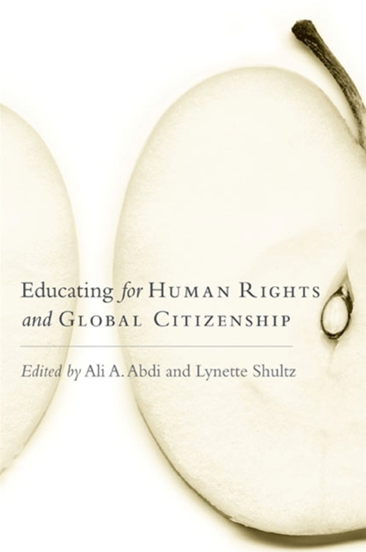 Cover image for Educating for Human Rights and Global Citizenship ISBN 9780791473733