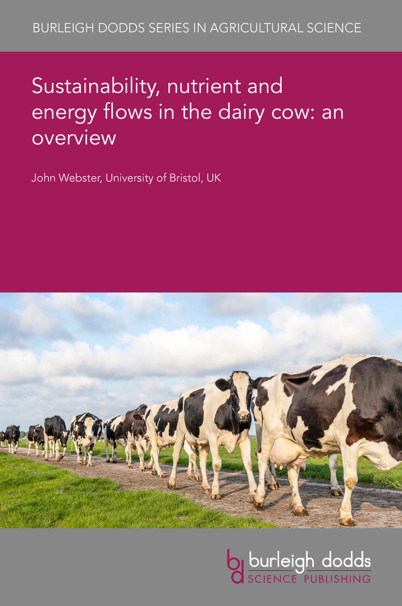 Sustainability, nutrient and energy flows in the dairy cow: an overview
