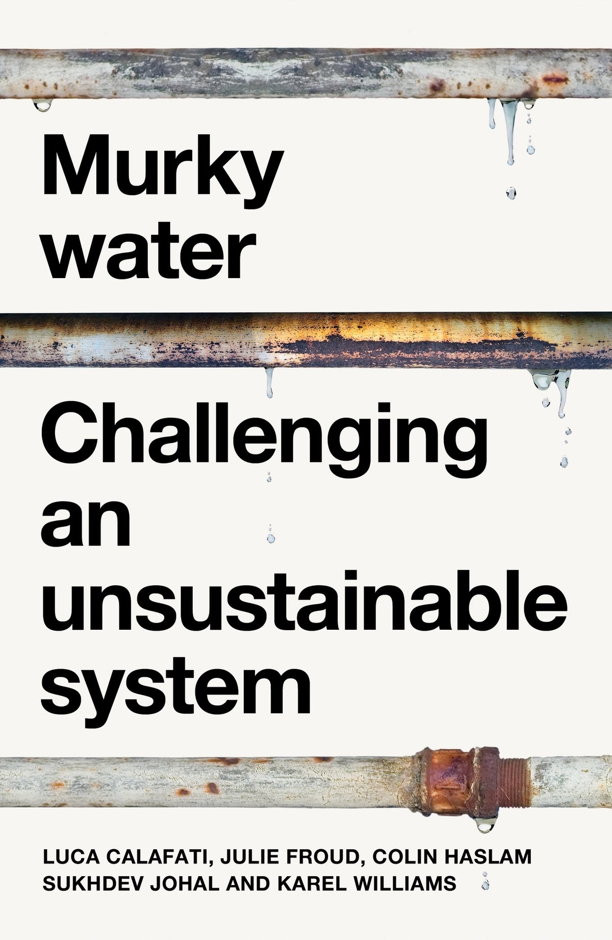 Cover image for Murky water ISBN 9781526188694