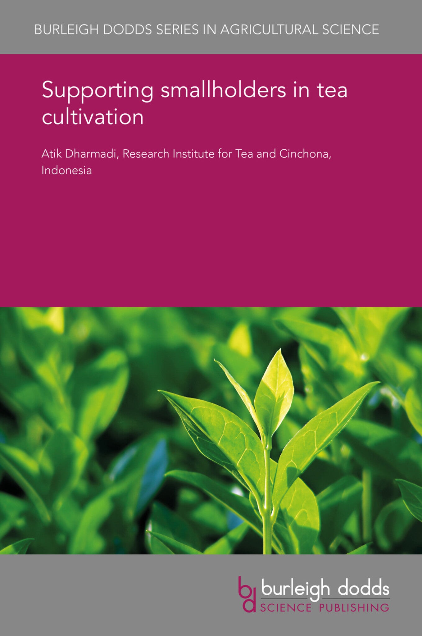 Supporting smallholders in tea cultivation