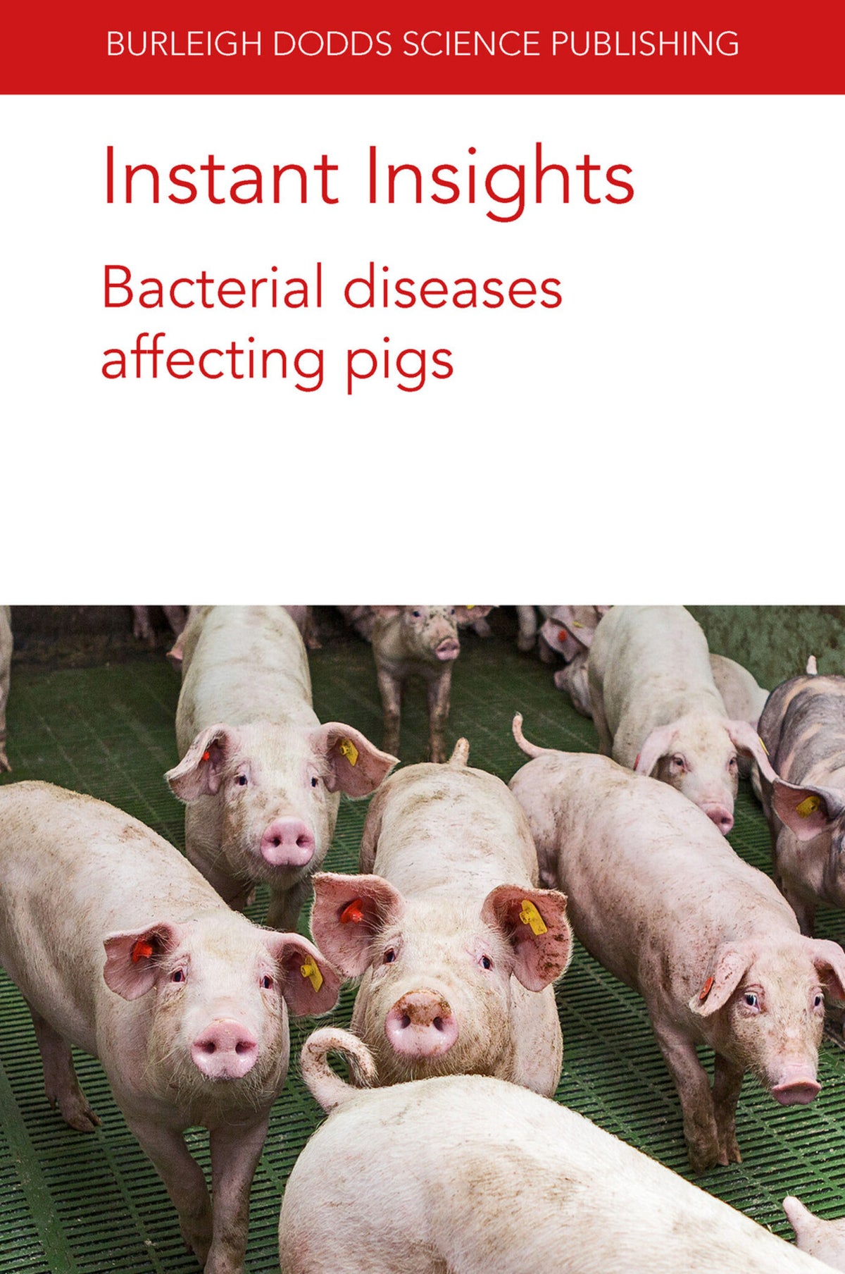 Cover image for Instant Insights: Bacterial diseases affecting pigs ISBN 9781801464147