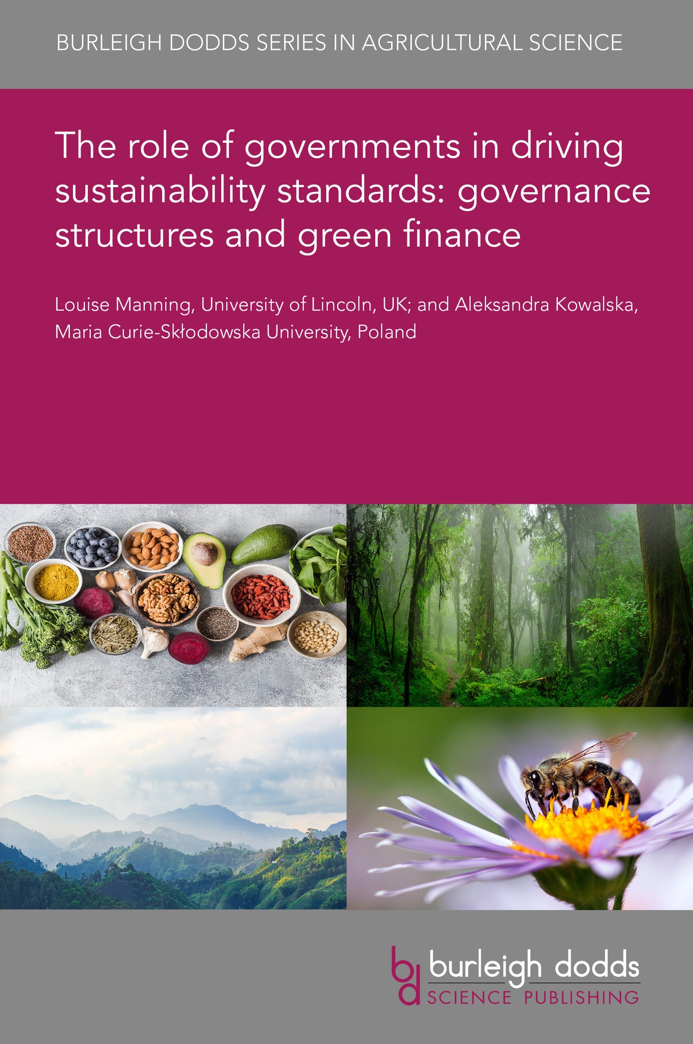 The role of governments in driving sustainability standards: governance structures and green finance
