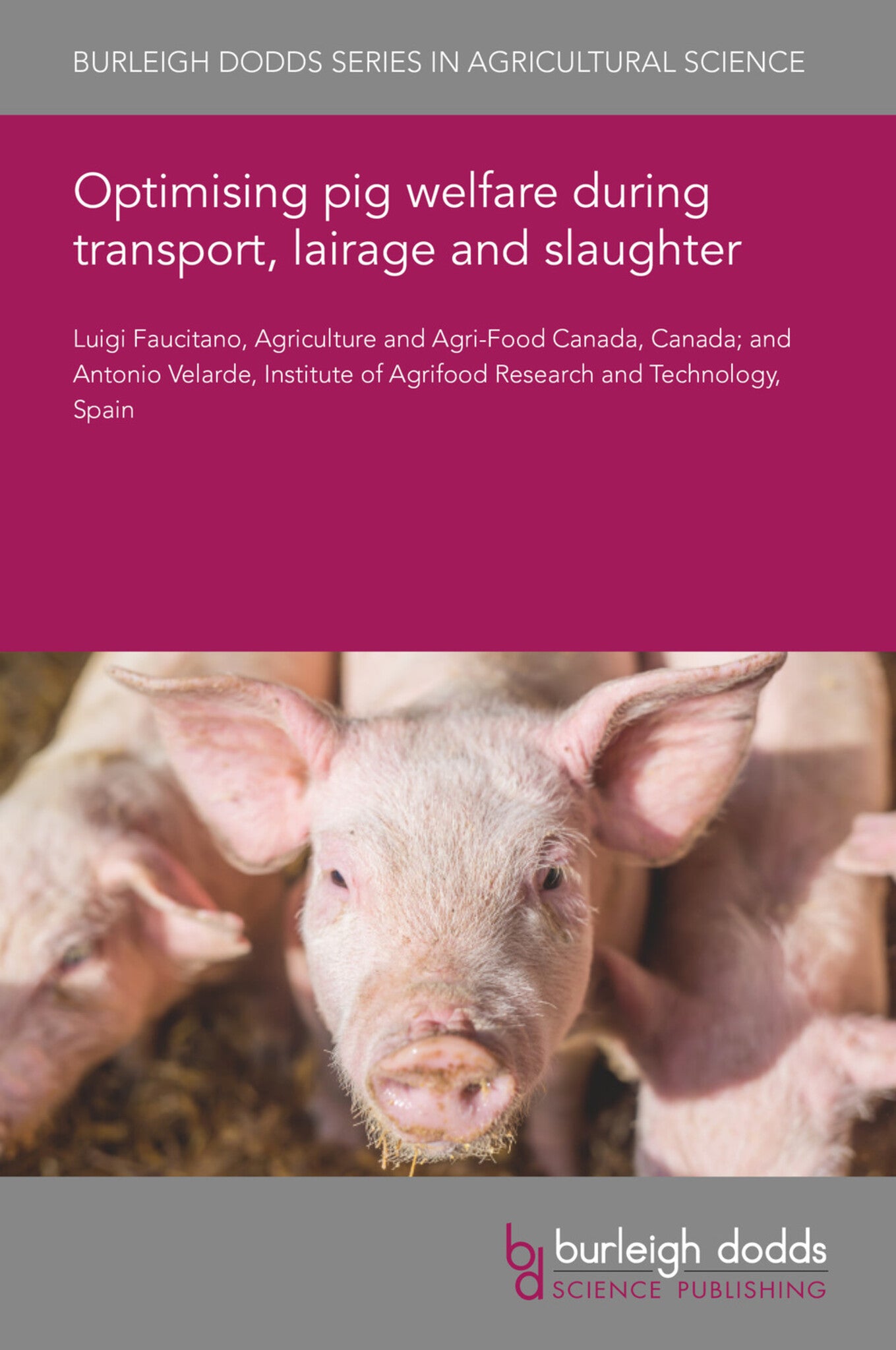 Optimising pig welfare during transport, lairage and slaughter