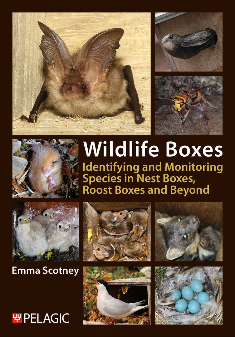 Wildlife Boxes