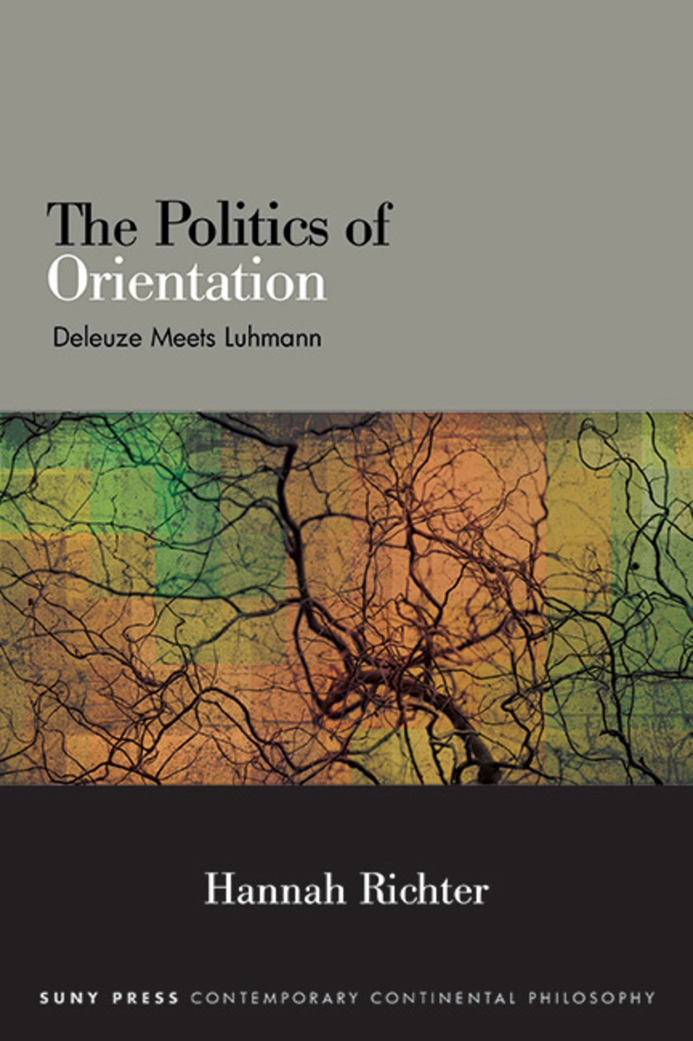 Cover image for The Politics of Orientation ISBN 9781438495057