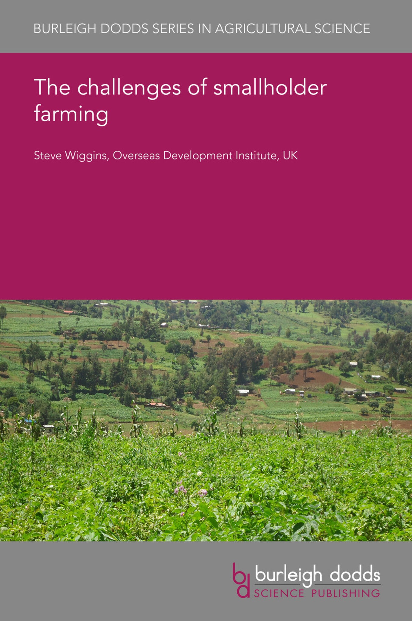 The challenges of smallholder farming