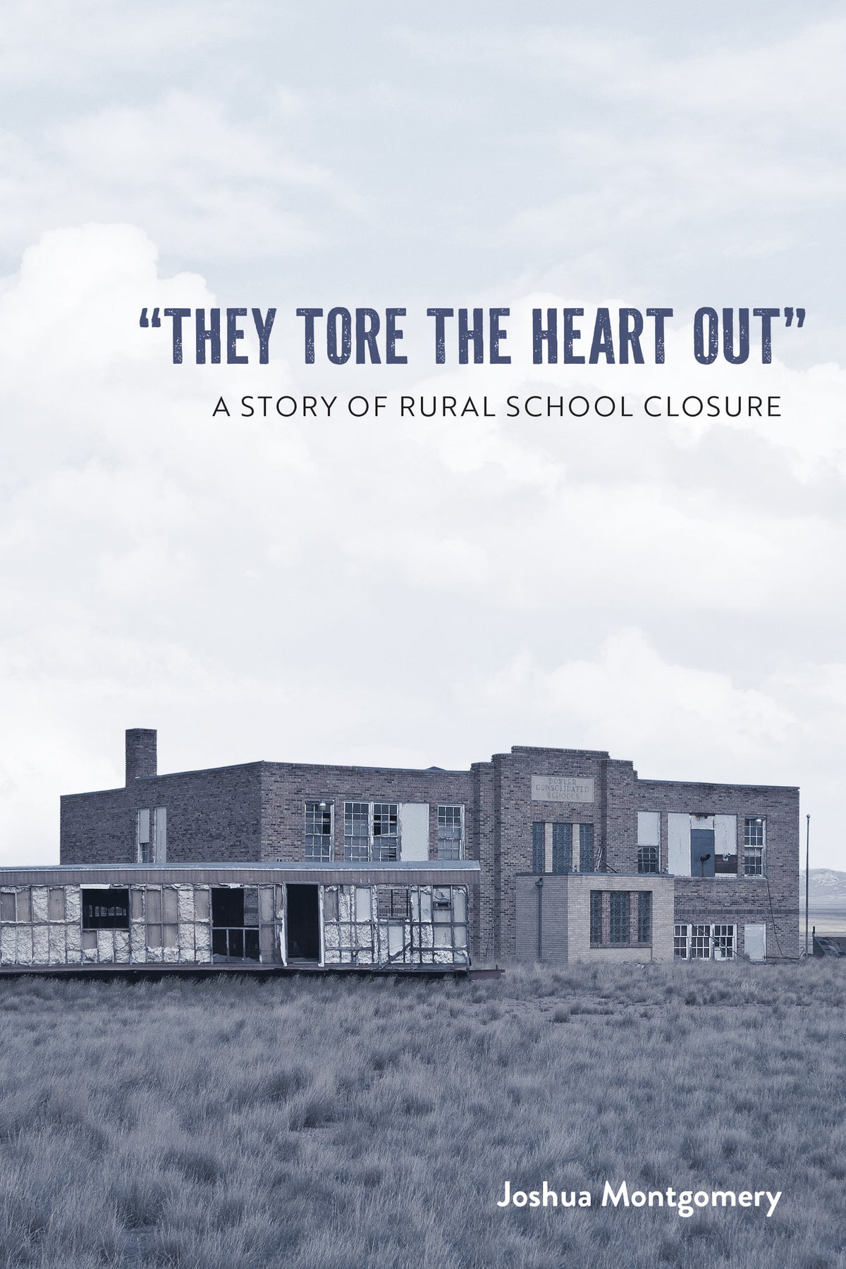 Cover image for "They Tore the Heart Out" ISBN 9781646429738