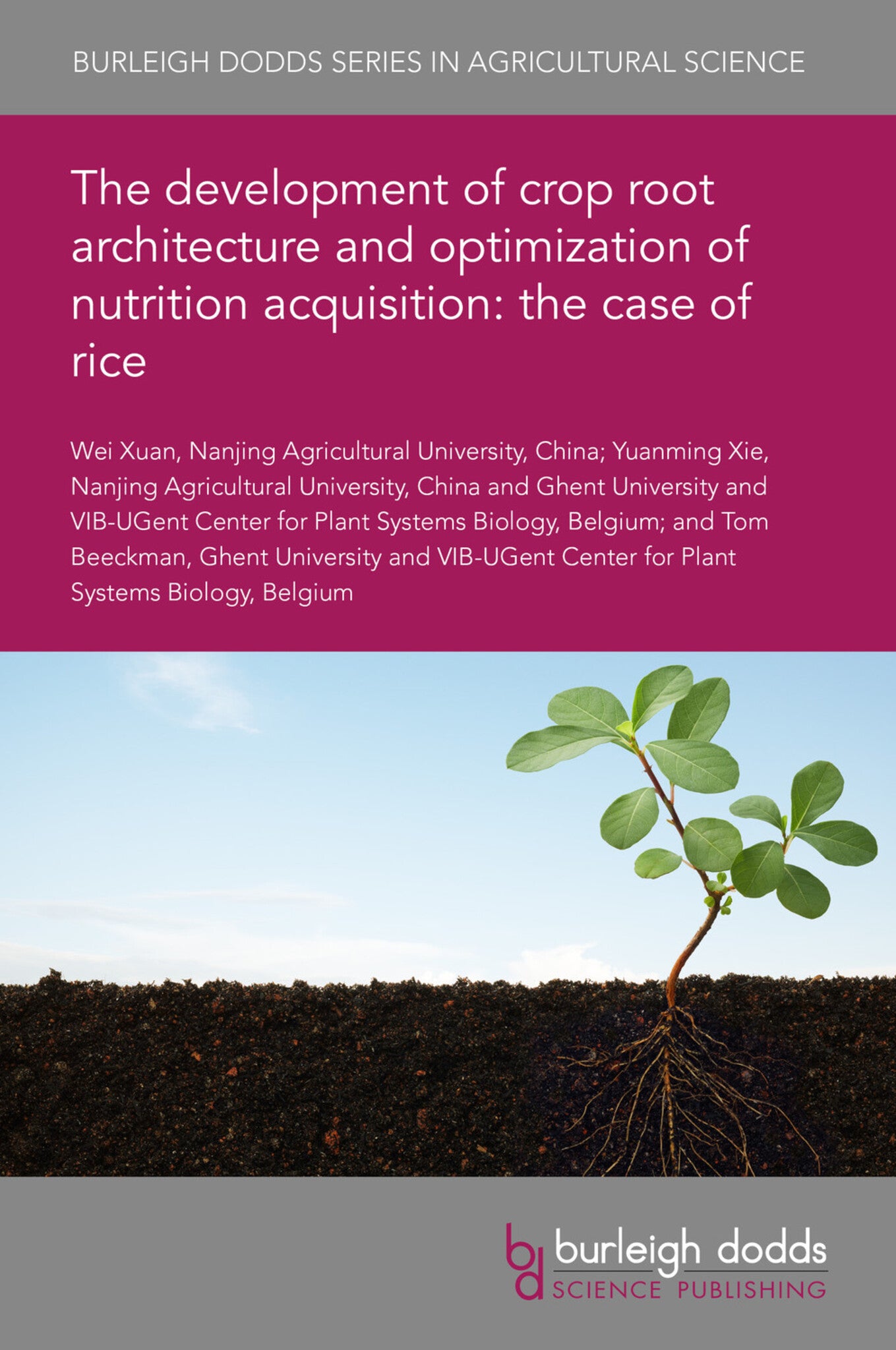 The development of crop root architecture and optimization of nutrition acquisition: the case of rice