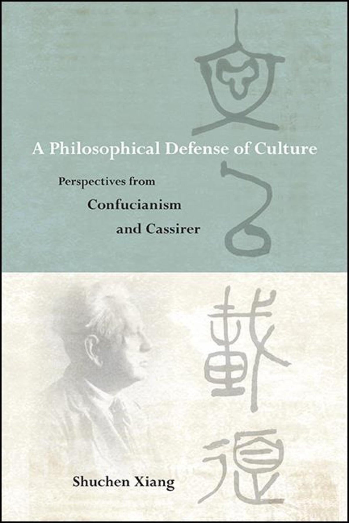 Cover image for A Philosophical Defense of Culture ISBN 9781438483207
