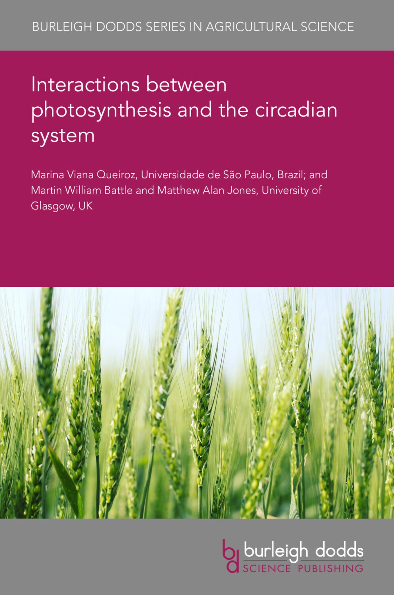 Interactions between photosynthesis and the circadian system