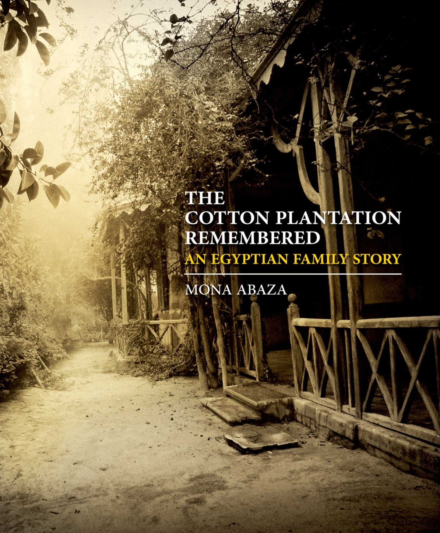 The Cotton Plantation Remembered
