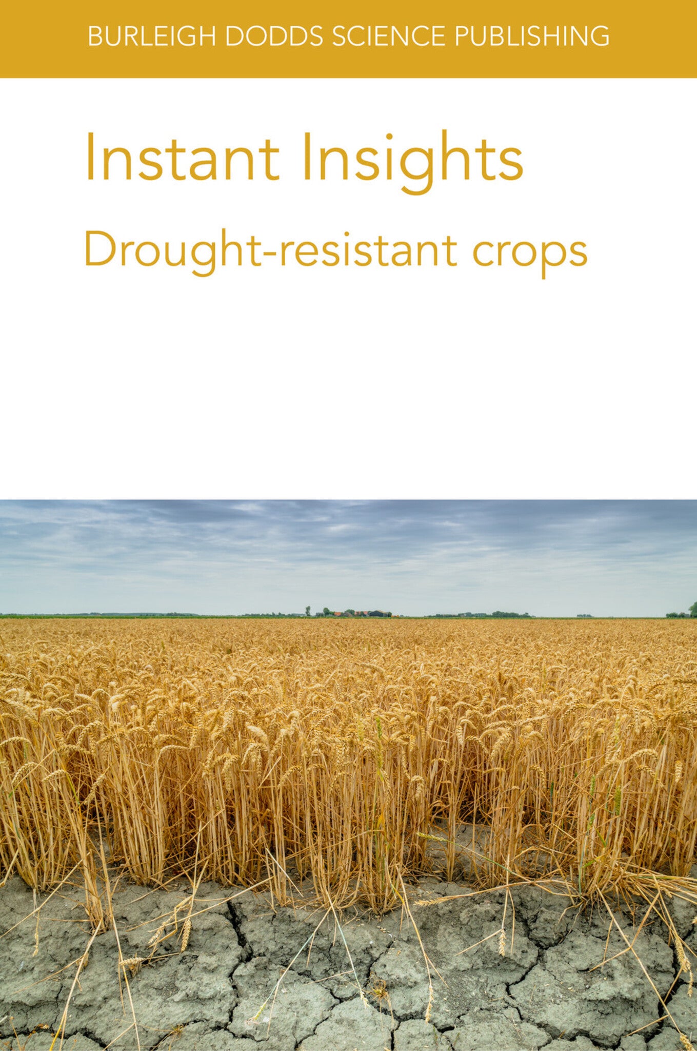 Instant Insights: Drought-resistant crops