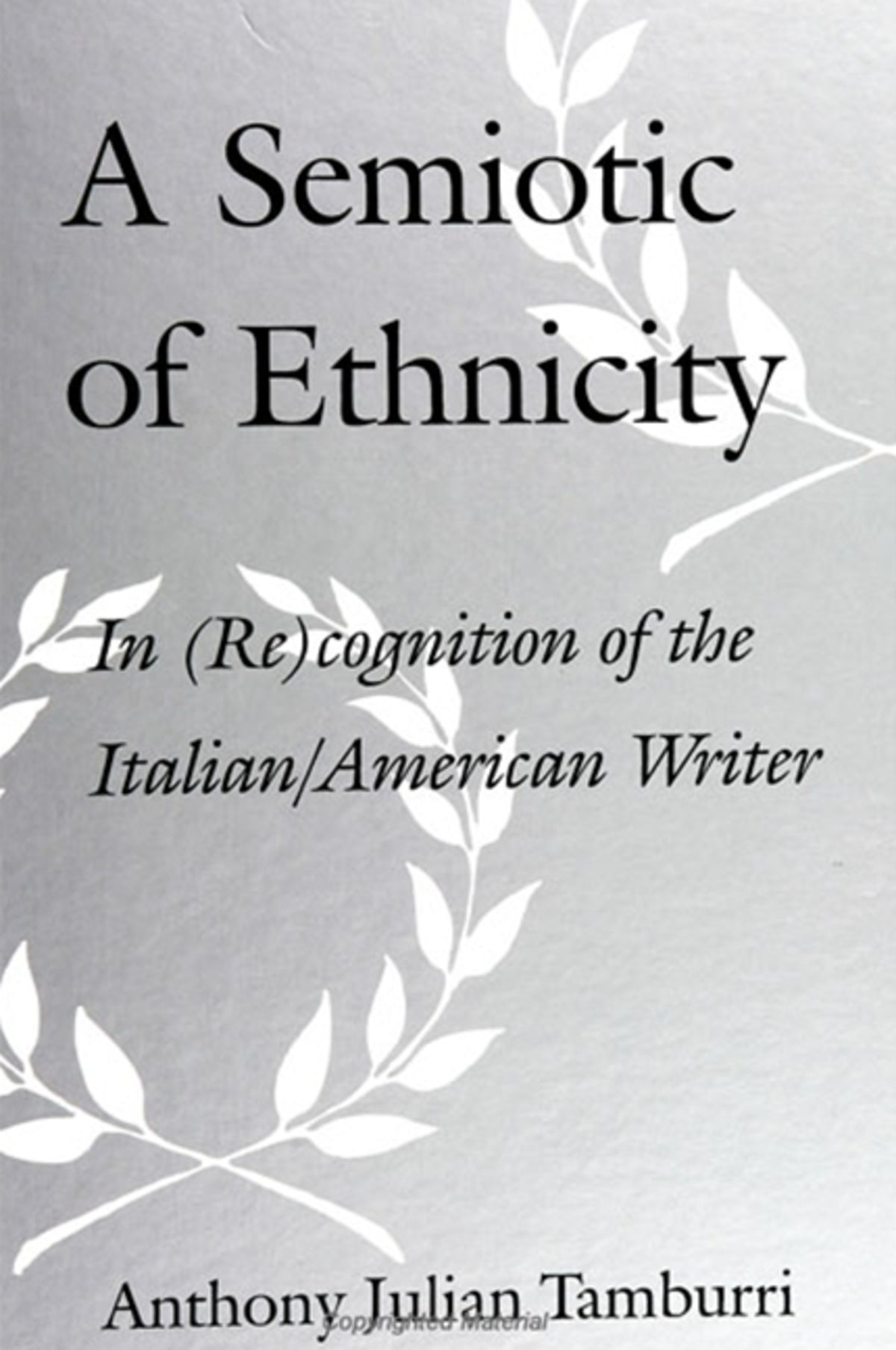 Cover image for A Semiotic of Ethnicity ISBN 9780791439166