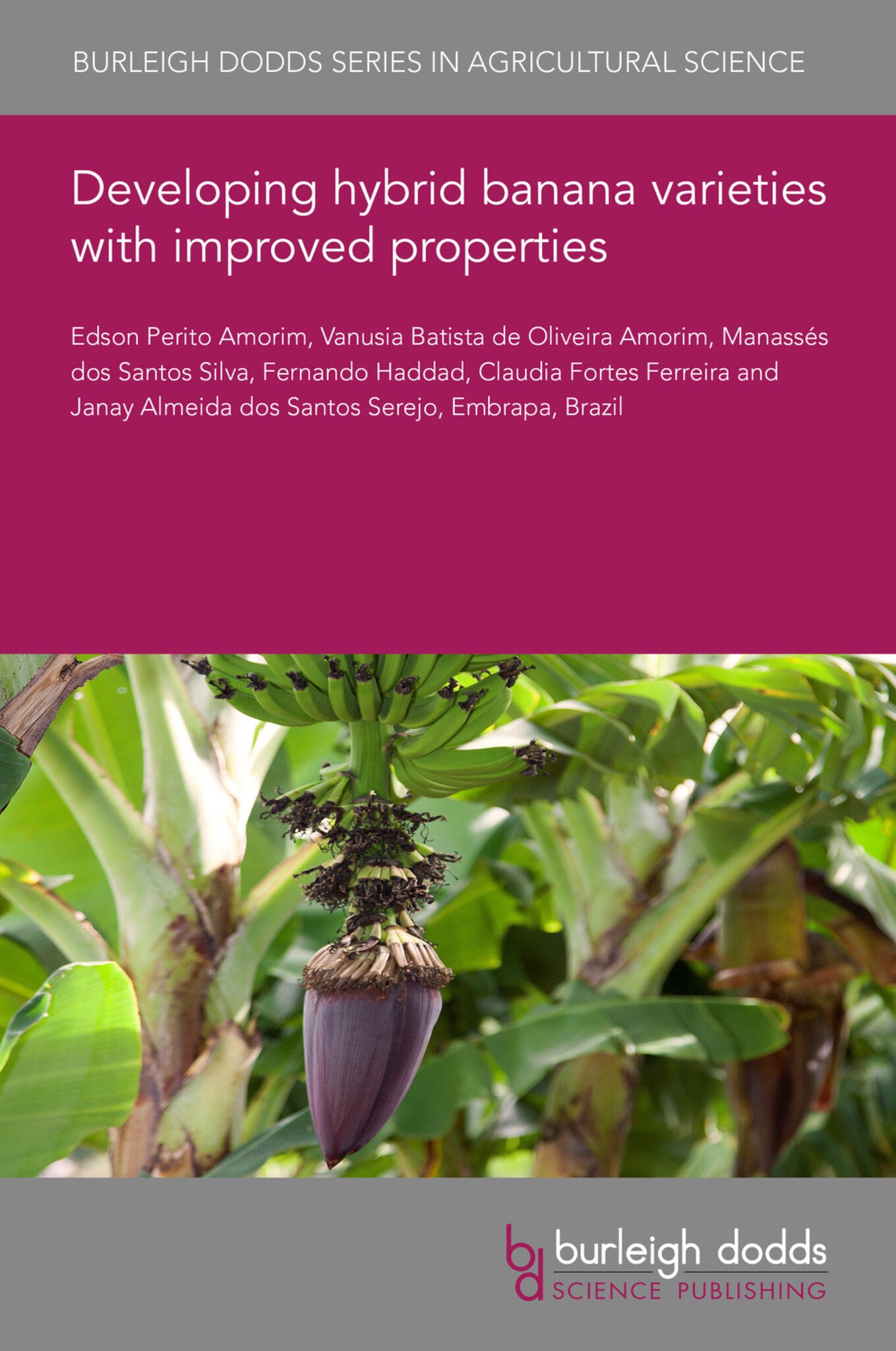 Developing hybrid banana varieties with improved properties