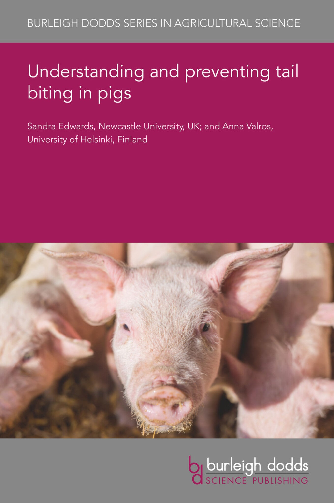 Understanding and preventing tail biting in pigs