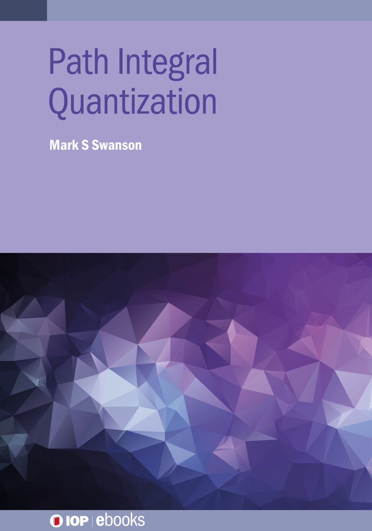 Cover image for Path Integral Quantization ISBN 9780750335454