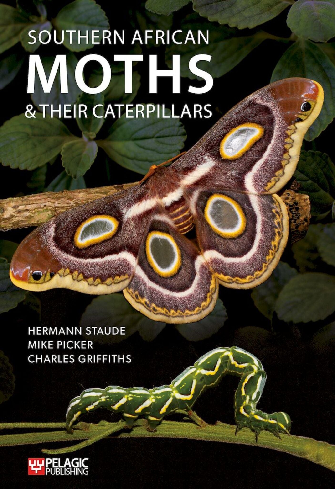 Southern African Moths and their Caterpillars