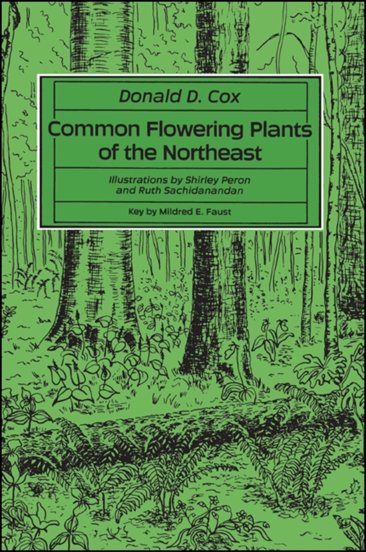 Cover image for Common Flowering Plants of the Northeast ISBN 9780873958905