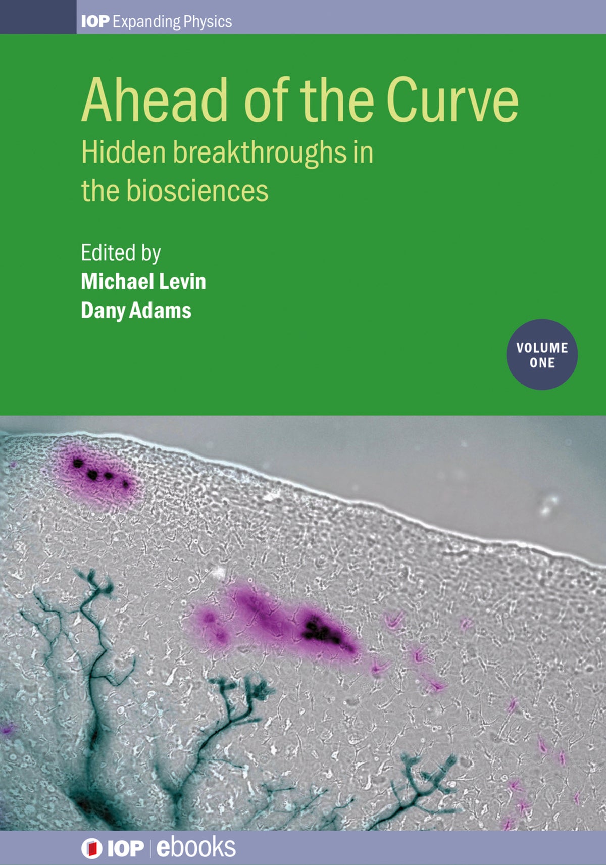Cover image for Ahead of the Curve ISBN 9780750313261