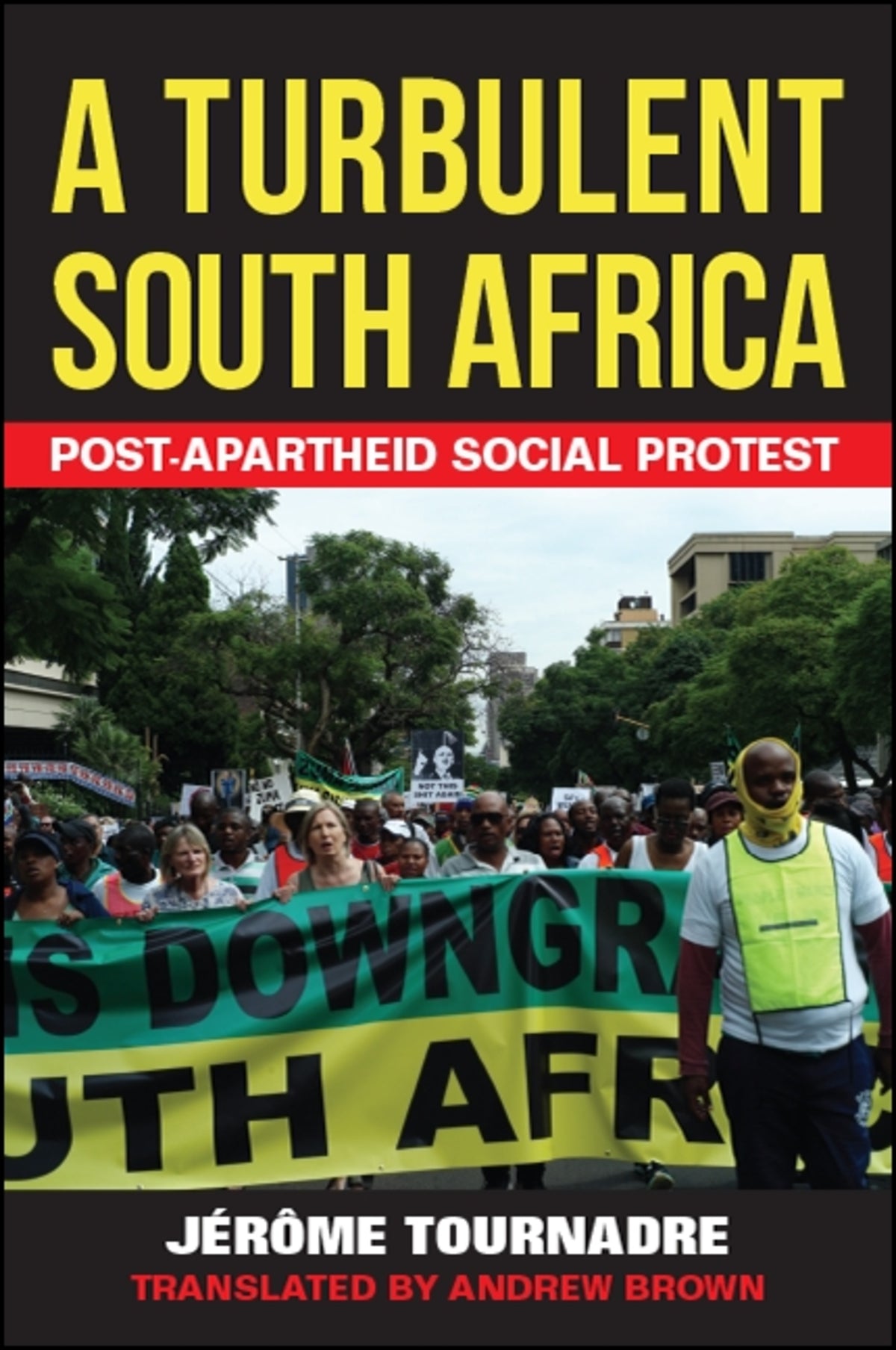 Cover image for A Turbulent South Africa ISBN 9781438469775