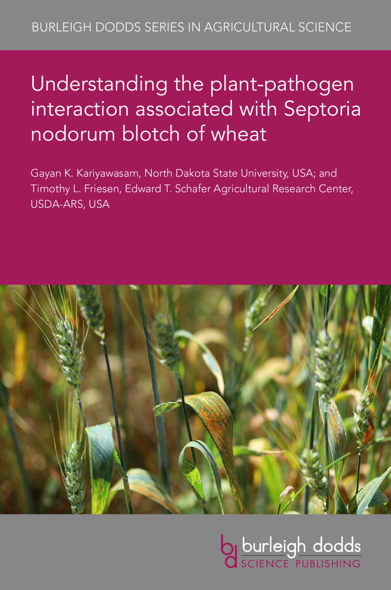 Understanding the plant-pathogen interaction associated with Septoria nodorum blotch of wheat