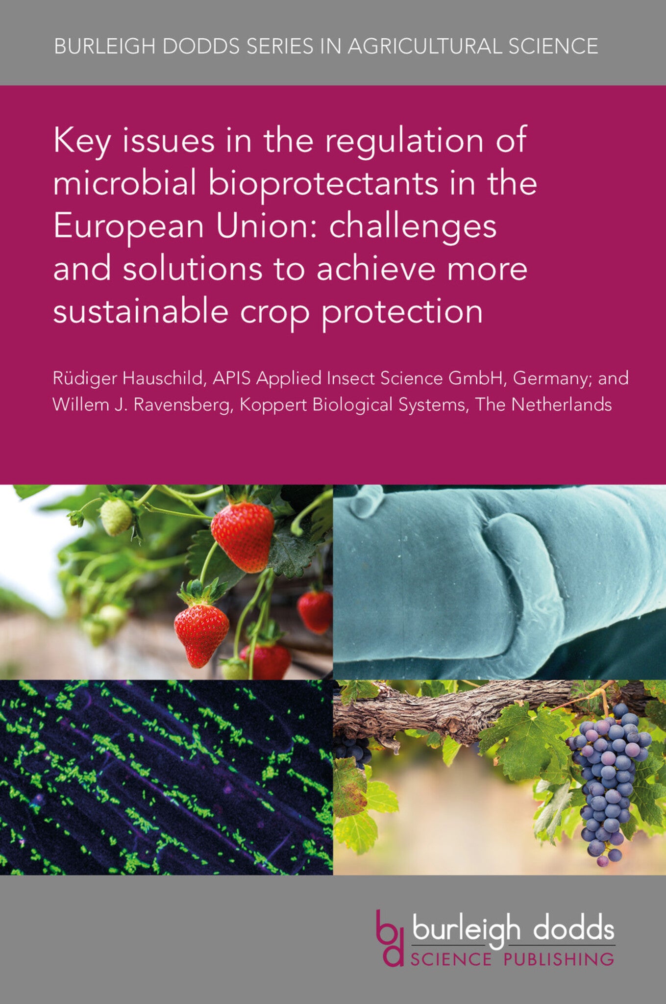 Key issues in the regulation of microbial bioprotectants in the European Union: challenges and solutions to achieve more sustainable crop protection