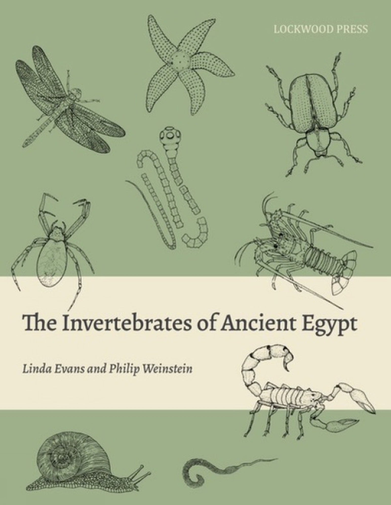 The Invertebrates of Ancient Egypt