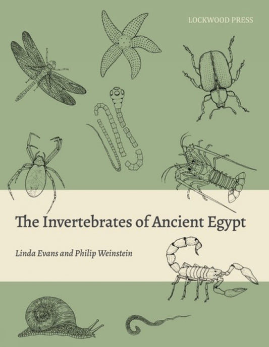 The Invertebrates of Ancient Egypt