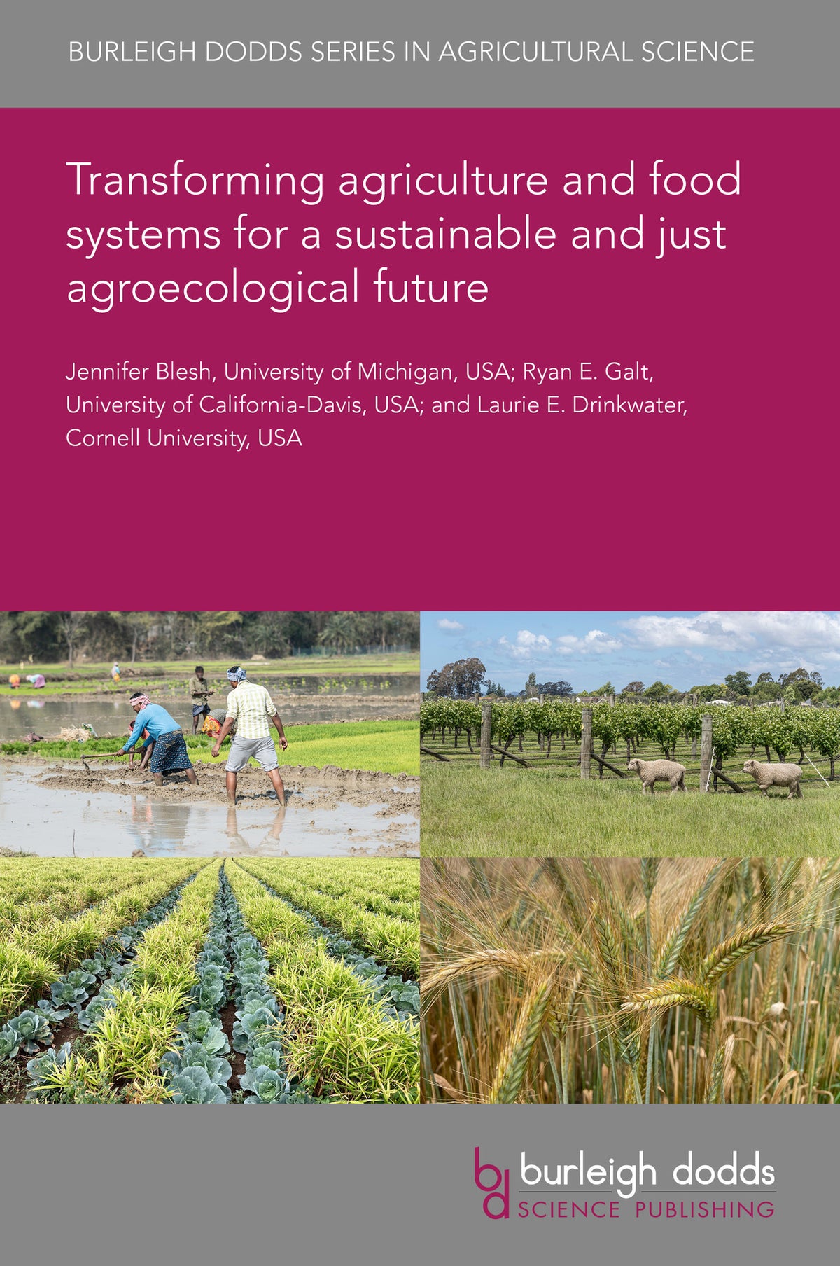 Cover image for Transforming agriculture and food systems for a sustainable and just agroecological future ISBN 