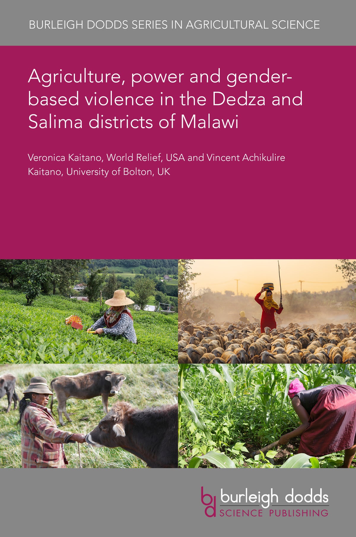 Cover image for Agriculture, power and gender-based violence in the Dedza and Salima districts of Malawi ISBN 9781835454817