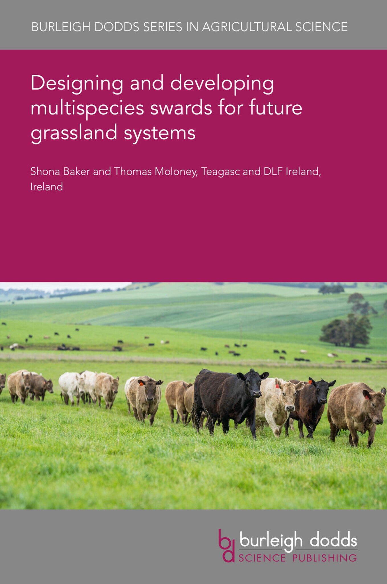 Designing and developing multispecies swards for future grassland systems