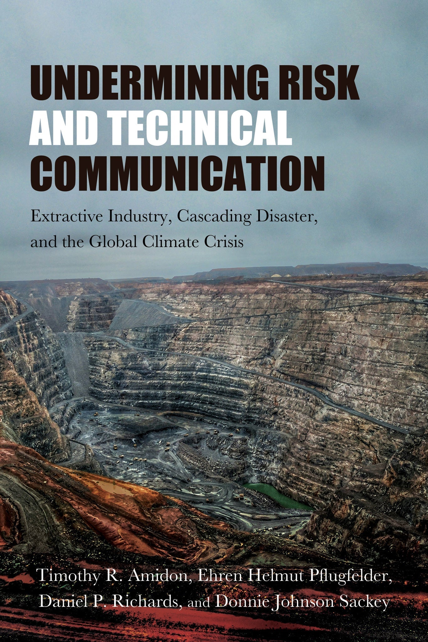 Cover image for Undermining Risk and Technical Communication ISBN 9798855807424