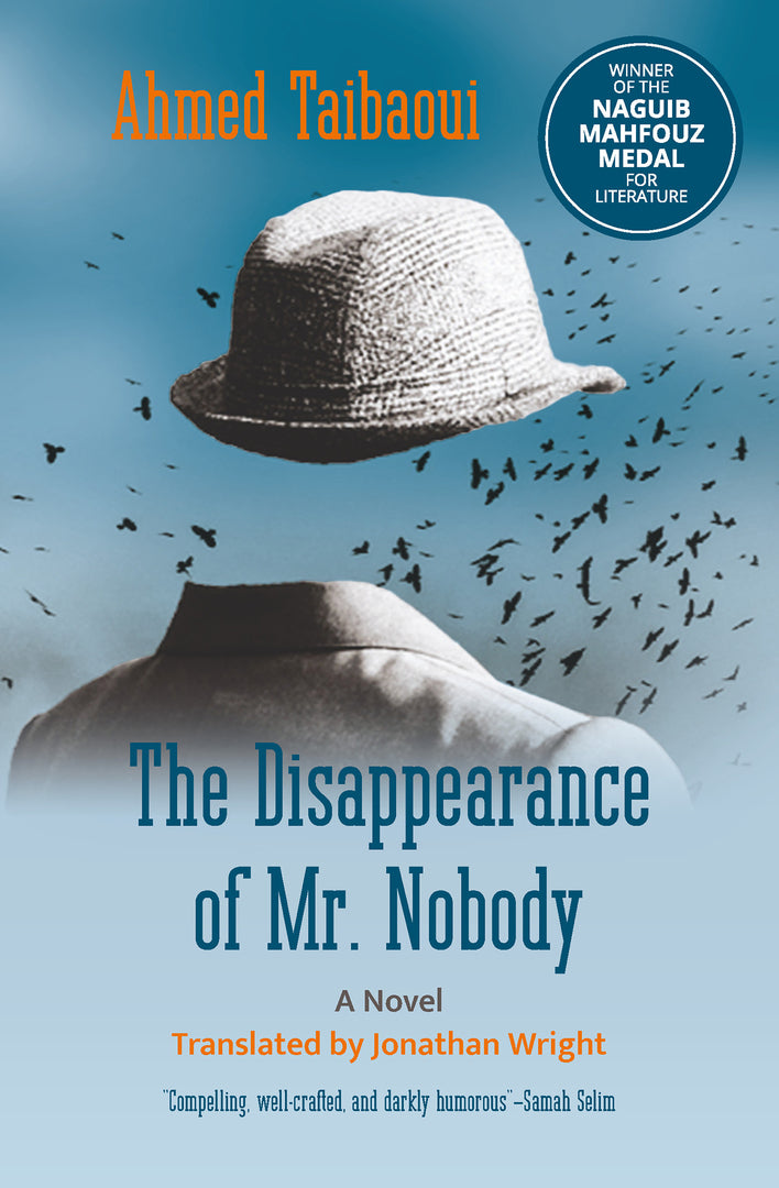 Cover image for The Disappearance of Mr. Nobody ISBN 9781649032140