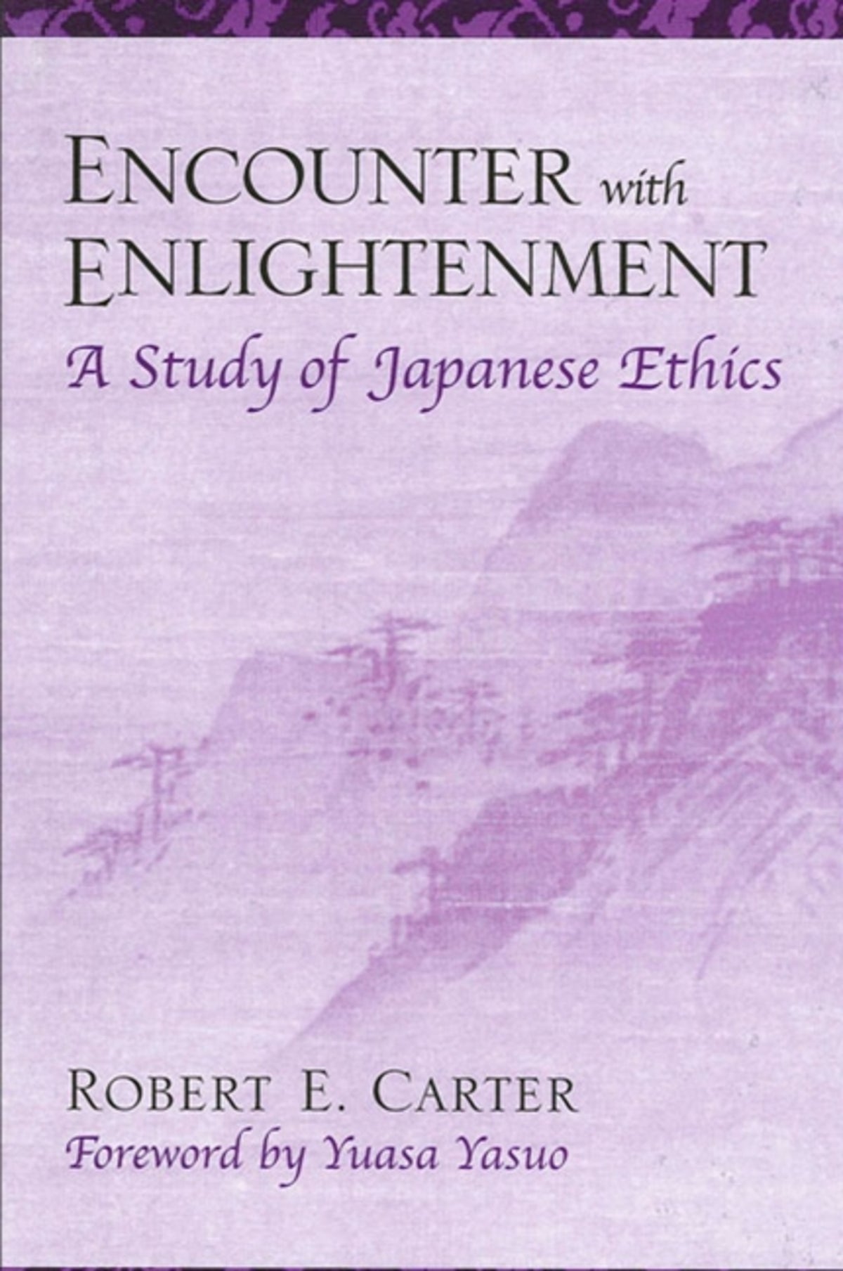 Cover image for Encounter with Enlightenment ISBN 9780791450185