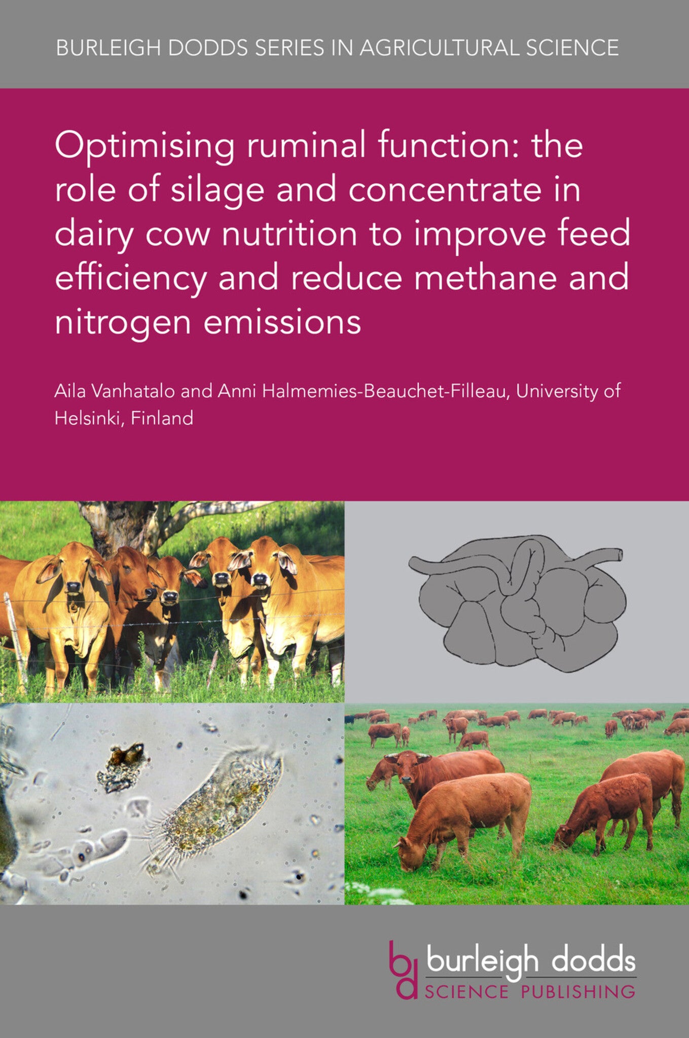 Optimising ruminal function: the role of silage and concentrate in dairy cow nutrition to improve feed efficiency and reduce methane and nitrogen emissions