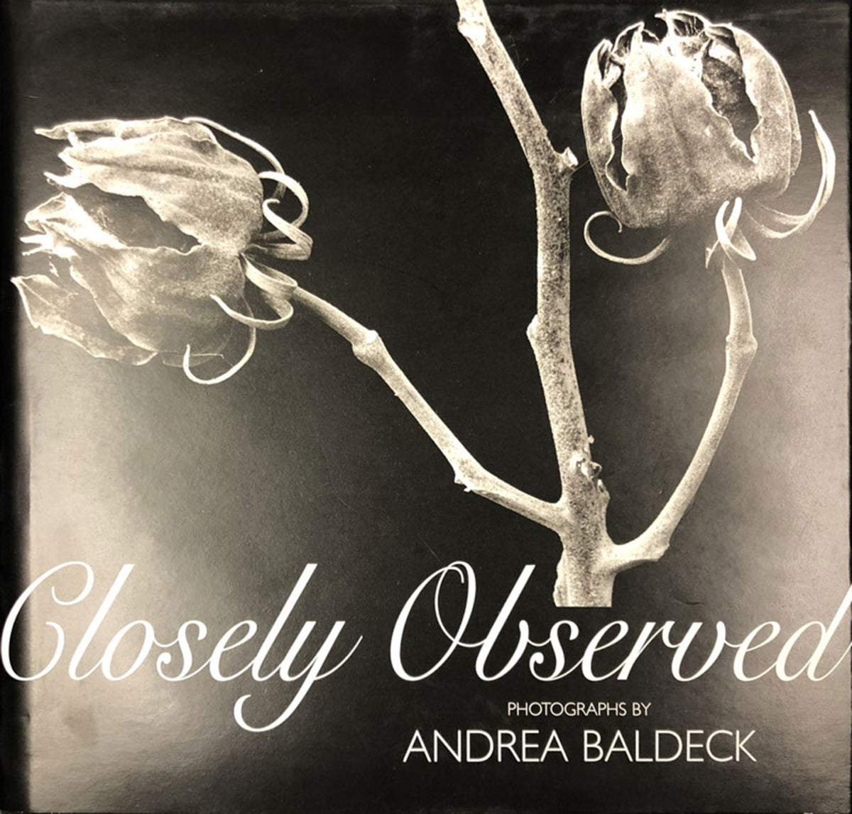 Closely Observed