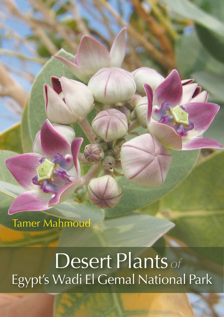 Cover image for Desert Plants of Egypt’s Wadi El Gemal National Park ISBN 9789774163500