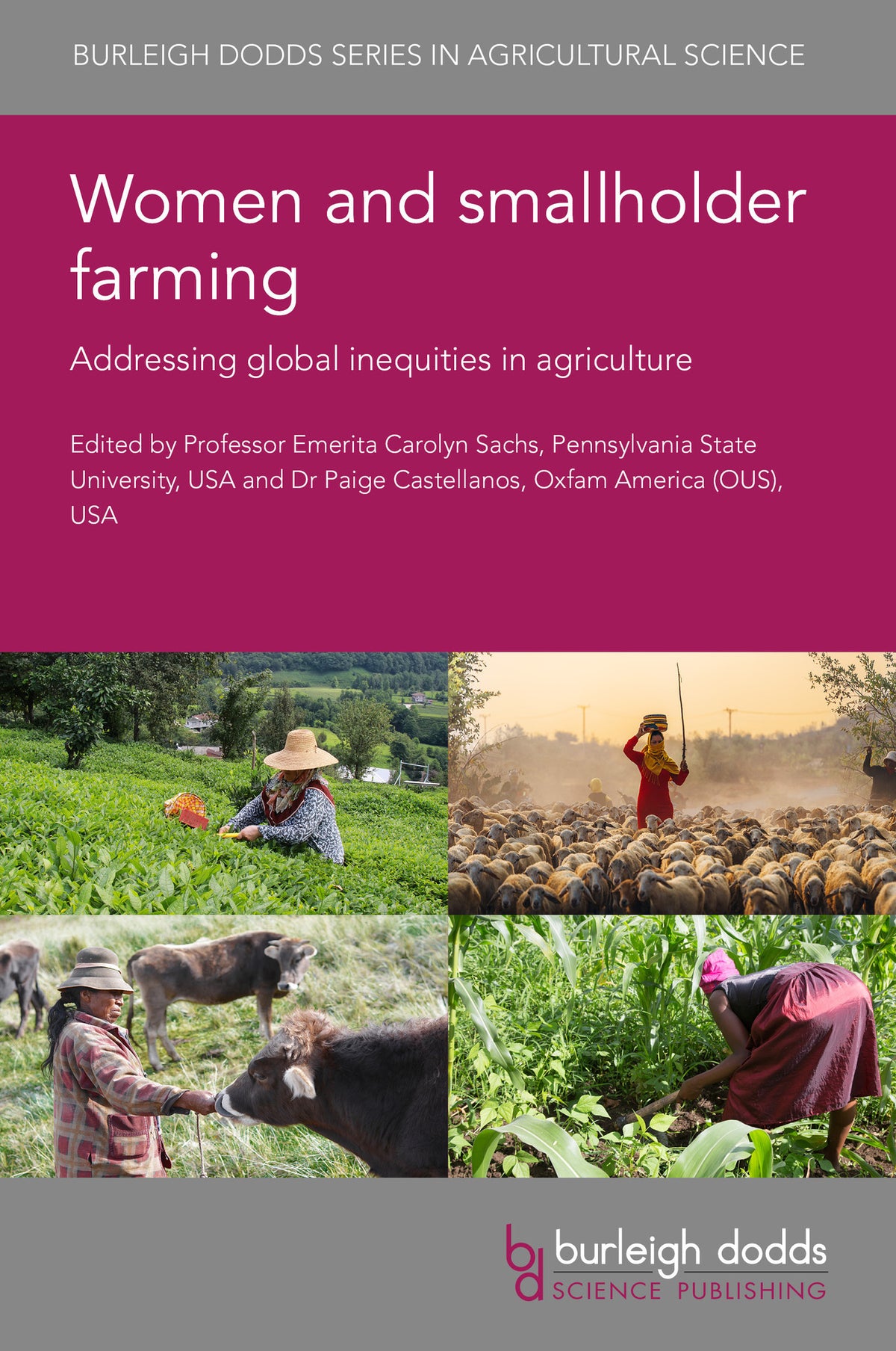 Cover image for Women and smallholder farming ISBN 9781801468053