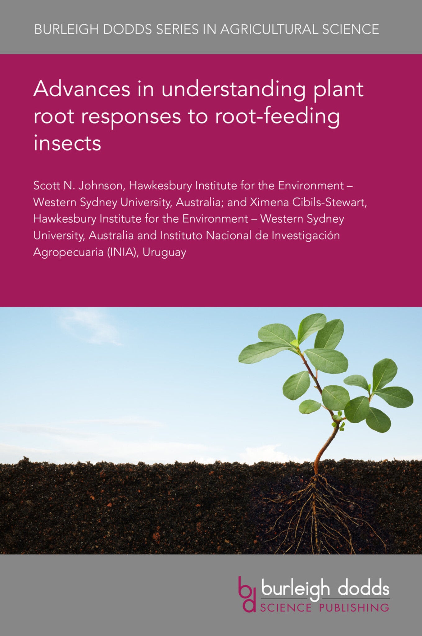 Advances in understanding plant root responses to root-feeding insects