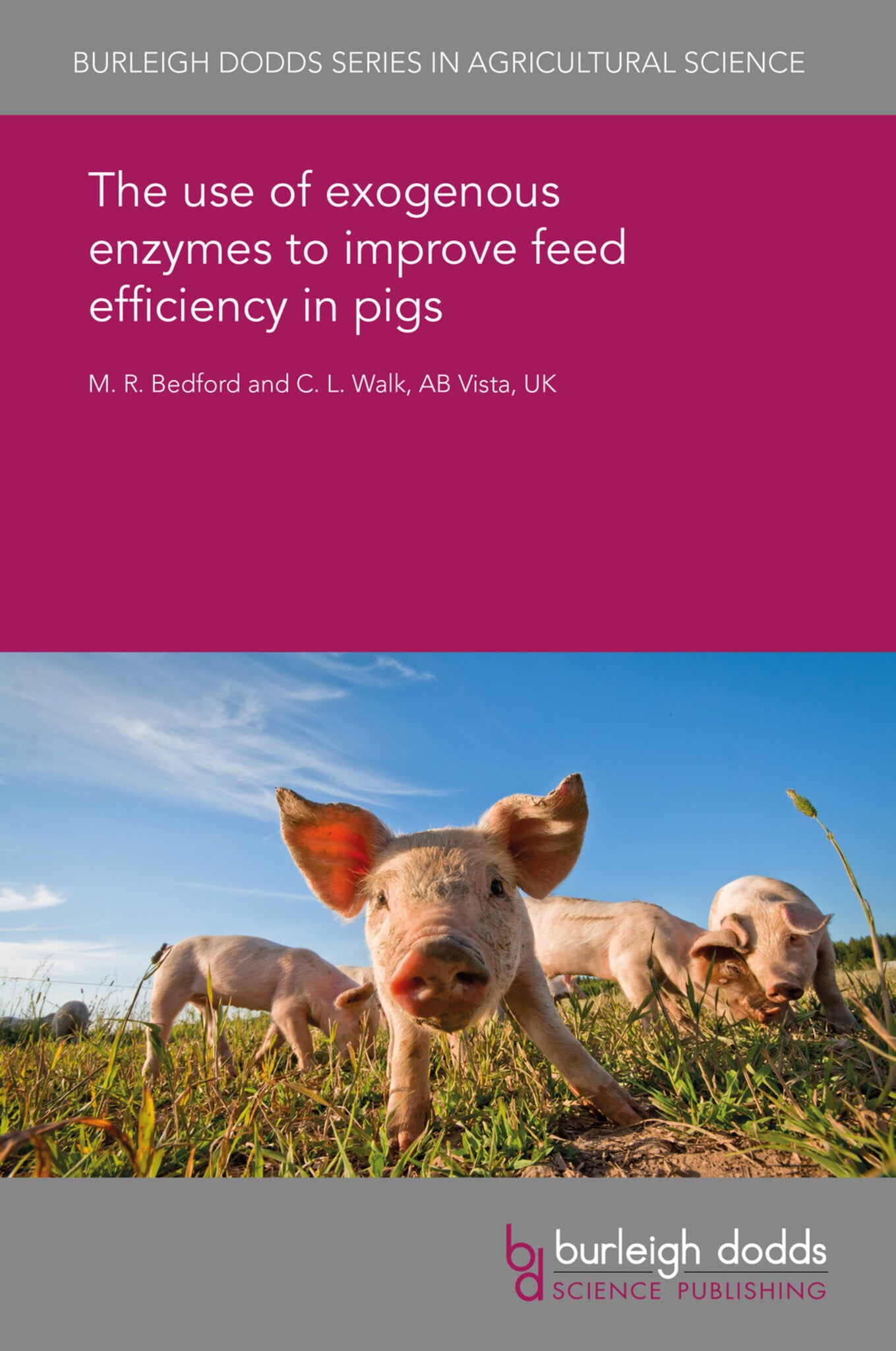 The use of exogenous enzymes to improve feed efficiency in pigs