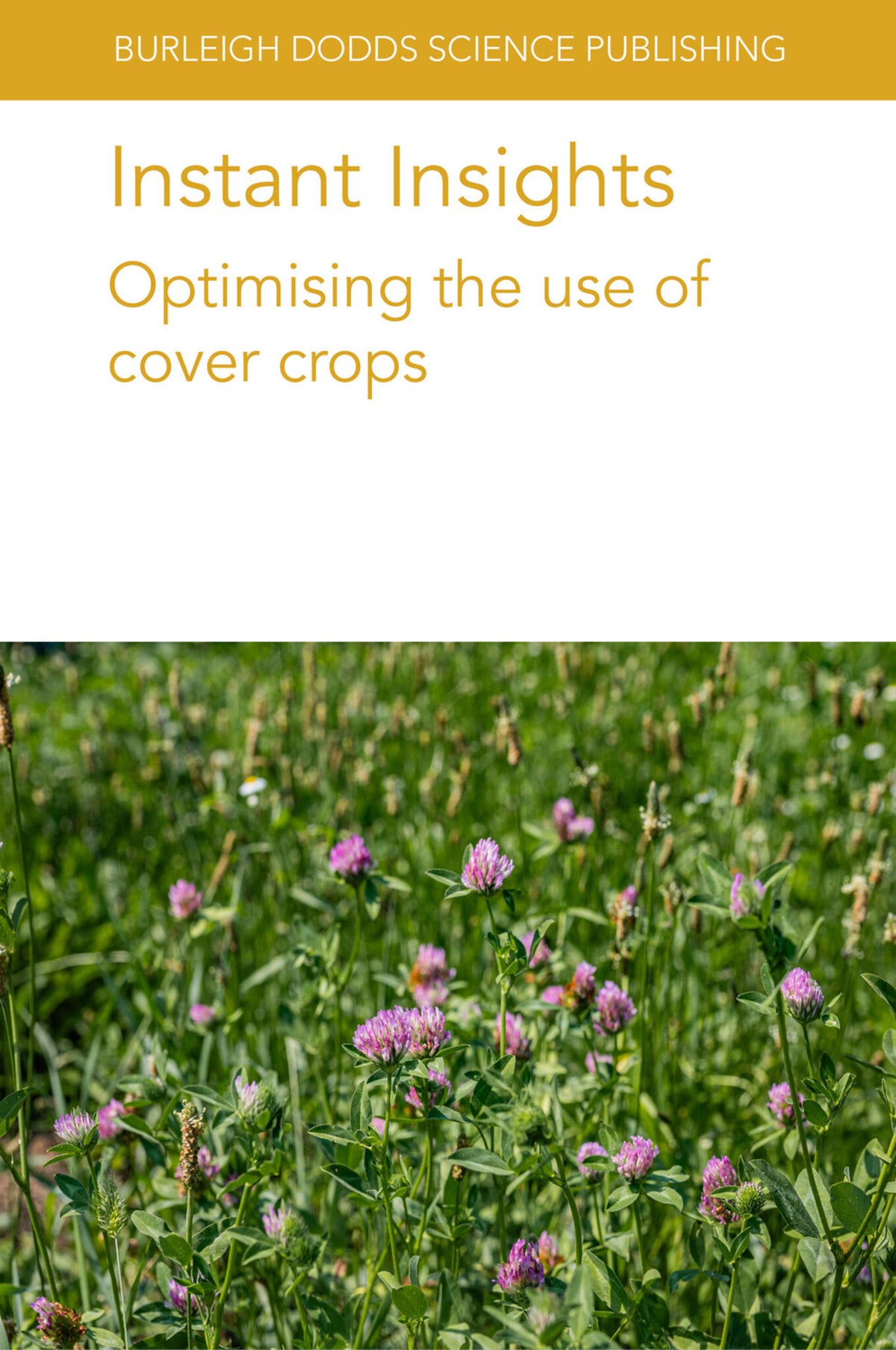 Instant Insights: Optimising the use of cover crops