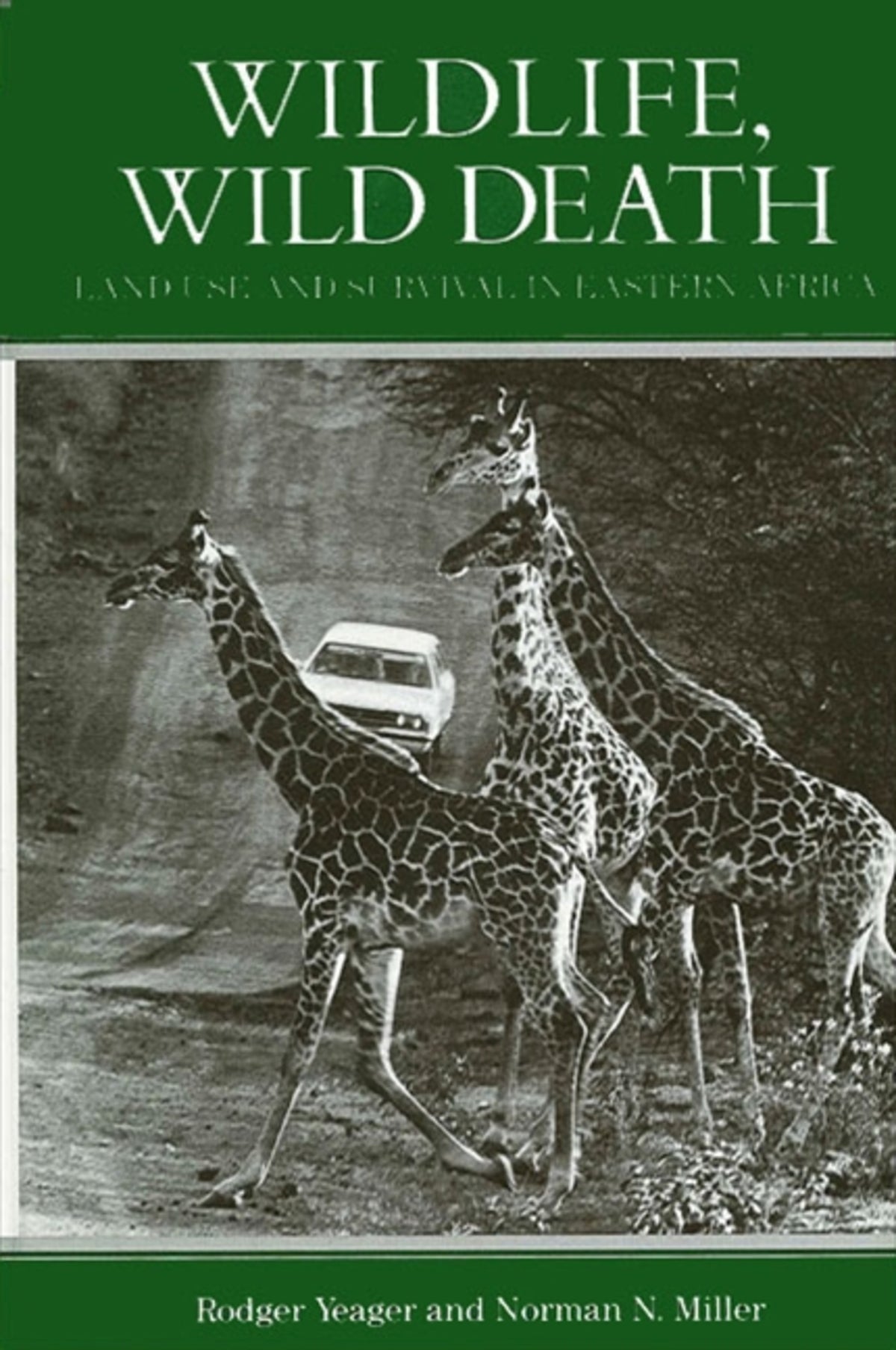 Cover image for Wildlife, Wild Death ISBN 9780887061691