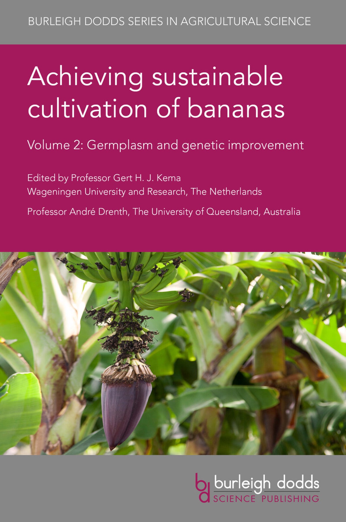 Cover image for Achieving sustainable cultivation of bananas Volume 2 ISBN 9781786763471