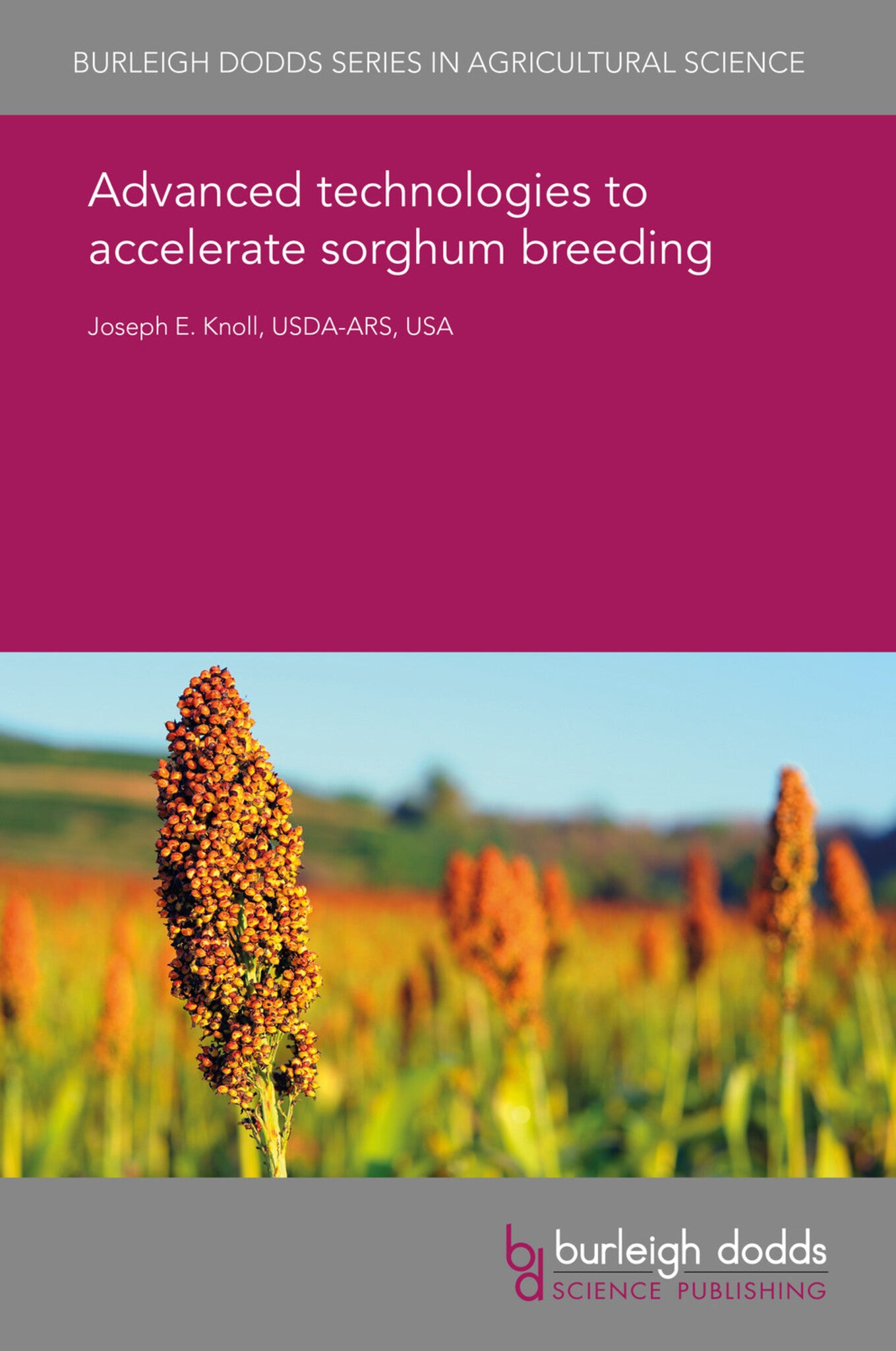 Advanced technologies to accelerate sorghum breeding