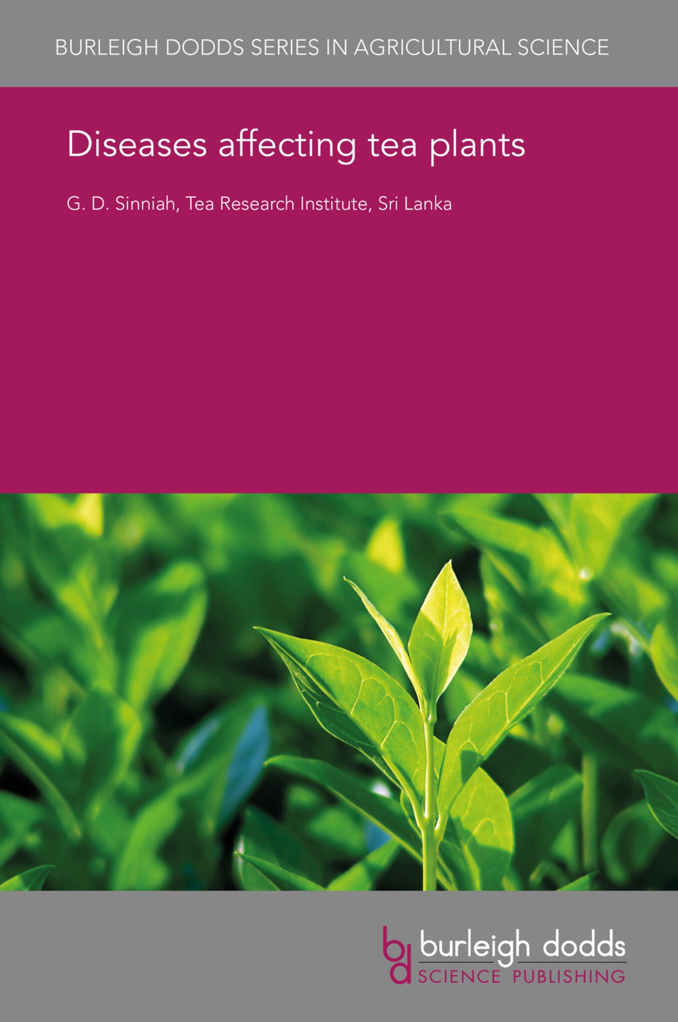 Diseases affecting tea plants